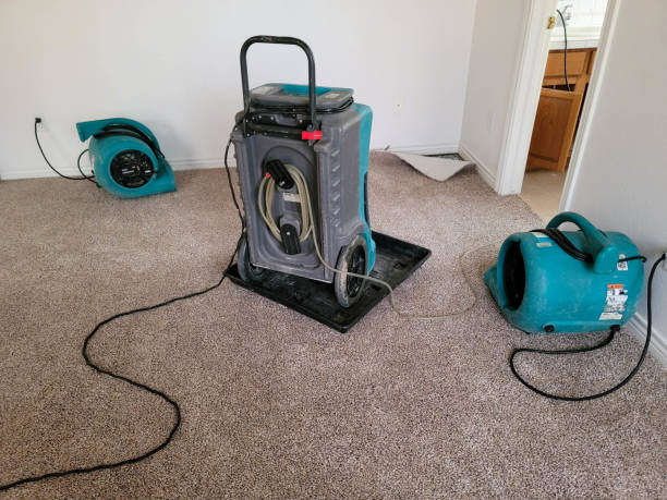 Best Water damage restoration experts  in Clyde, TX