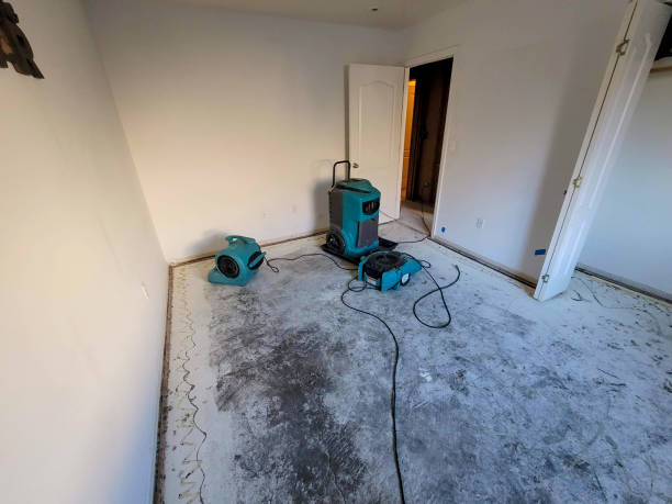 Best Water damage contractors near me  in Clyde, TX