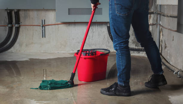 Best Basement water damage restoration  in Clyde, TX