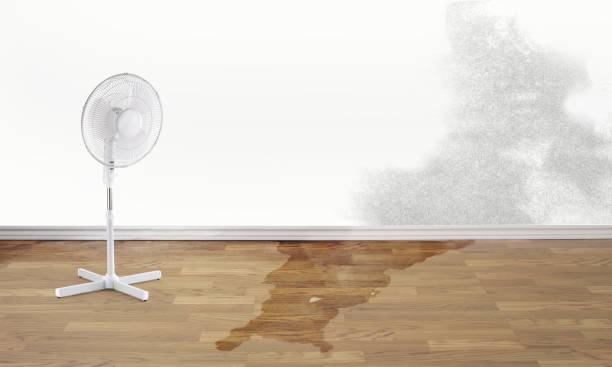 Best Ceiling water damage repair  in Clyde, TX