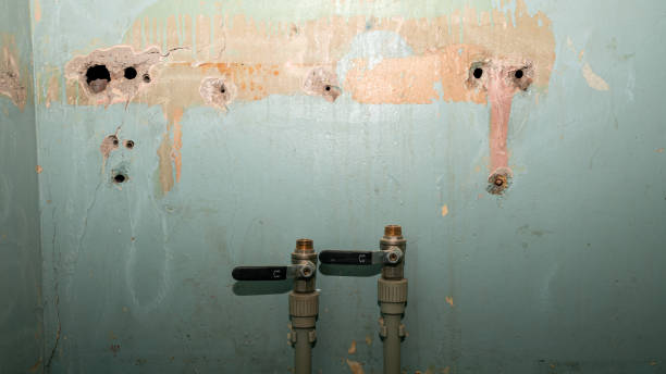 Best Ceiling water damage repair  in Clyde, TX