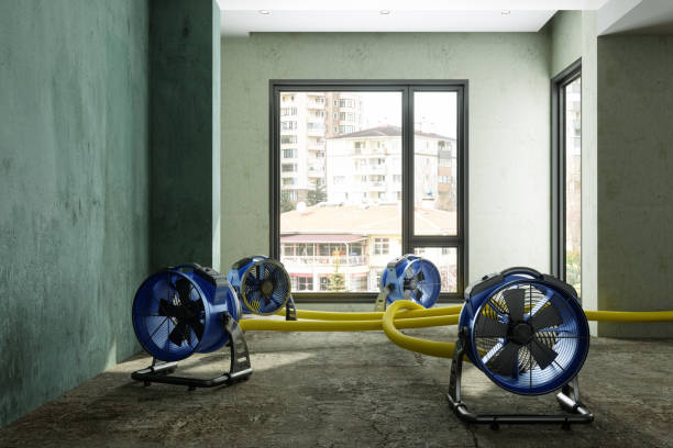 Water damage restoration experts in Clyde, TX
