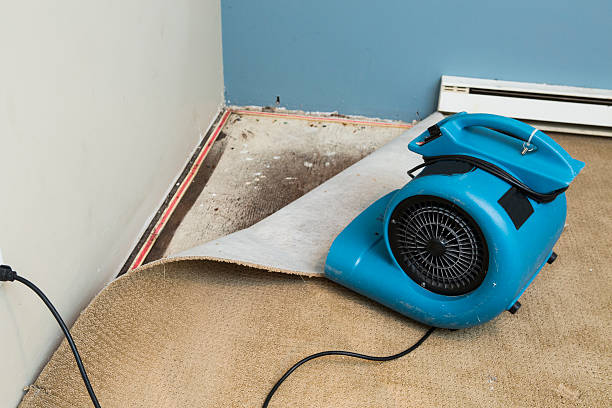 Clyde, TX Water damage restoration Company